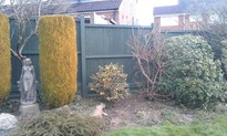 Painting fence and staining fences, forest row
