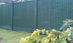 Fence painting Hartfield East Sussex